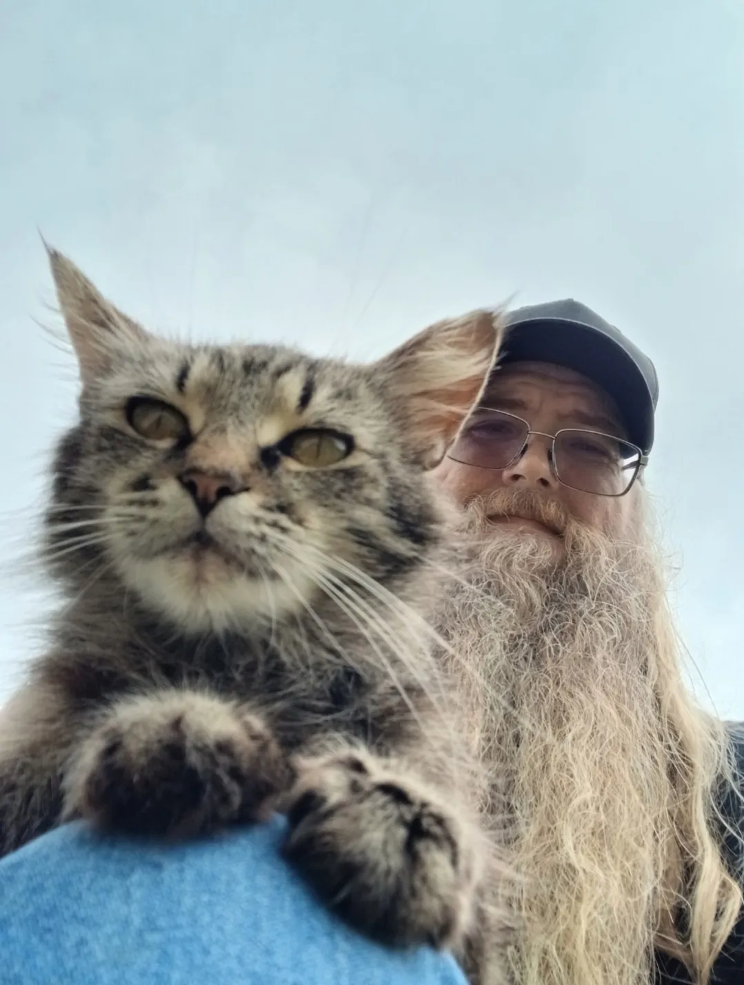 Jim with one of the sanctuary tabbies