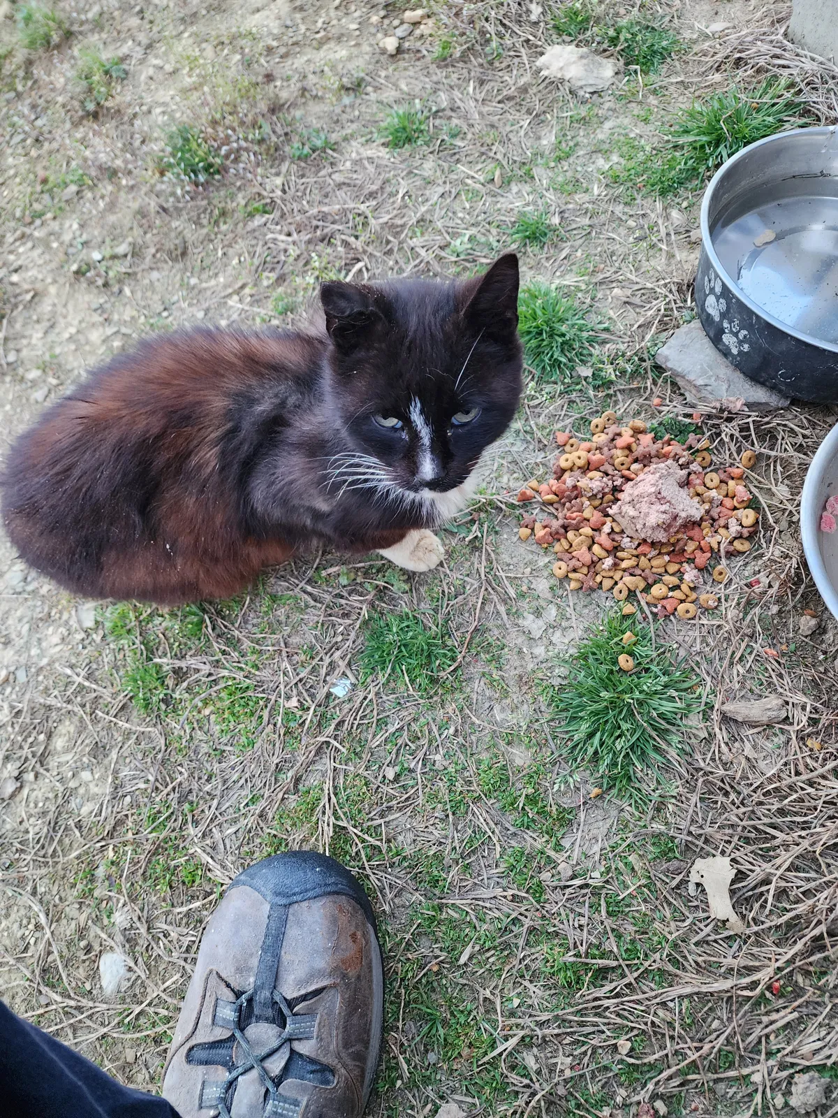 Sanctuary resident