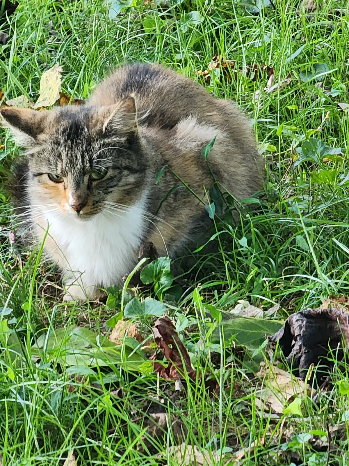 Sanctuary resident