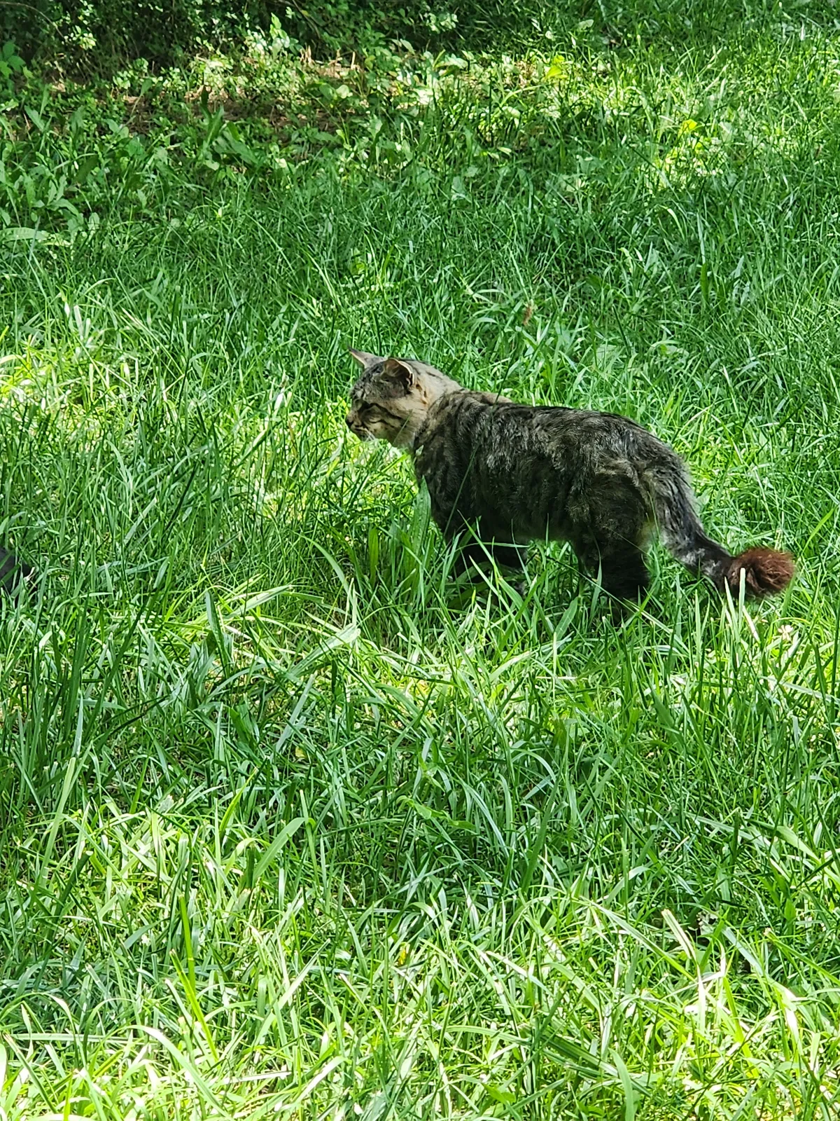 Sanctuary resident